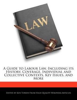 Paperback A Guide to Labour Law, Including Its History, Coverage, Individual and Collective Contexts, Key Issues, and More Book