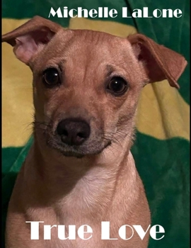 Paperback True Love Book