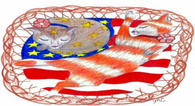 Paperback Stars and Stripes Celebrate Memorial Day Book