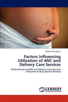 Paperback Factors Influencing Utilization of ANC and Delivery Care Services Book