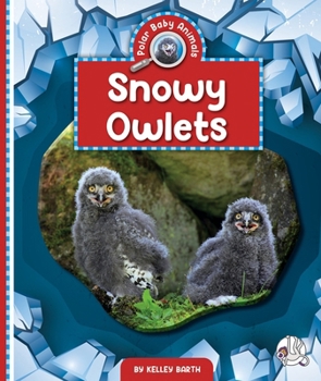 Library Binding Snowy Owlets Book