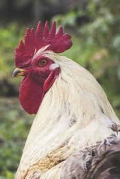 The Rooster Portable Notebook: For Country Kitchens