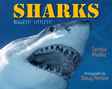 Hardcover Sharks: Biggest! Littlest! Book