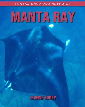 Manta ray: Fun Facts and Amazing Photos