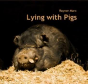 Hardcover Lying with Pigs Book