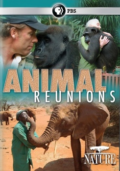 DVD Nature: Animal Reunions Book