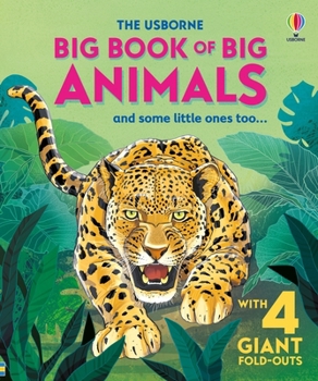 Hardcover Big Book of Big Animals Book