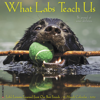 Calendar What Labs Teach Us 2020 Wall Calendar (Dog Breed Calendar) Book