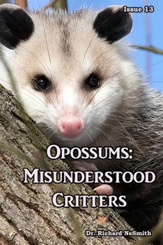 Paperback Opossums: Misunderstood Critters Book