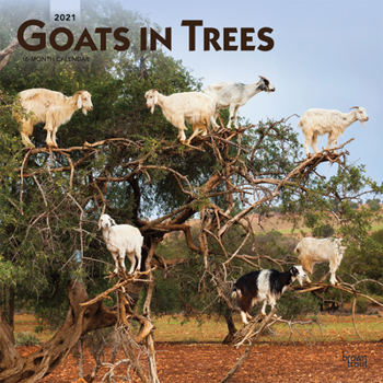 Calendar Goats in Trees 2021 Square Book