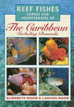 Paperback Reef Fishes, Corals and Invertebrates of the Caribbean Book