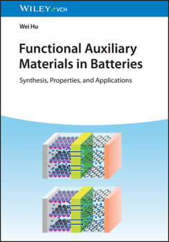 Hardcover Functional Auxiliary Materials in Batteries: Synthesis, Properties, and Applications Book