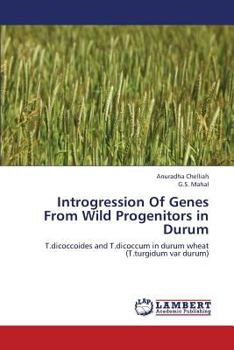 Paperback Introgression of Genes from Wild Progenitors in Durum Book