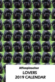 Paperback Affenpinscher Lovers 2019 Calendar Book