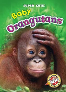 Baby Orangutans - Book  of the Super Cute!