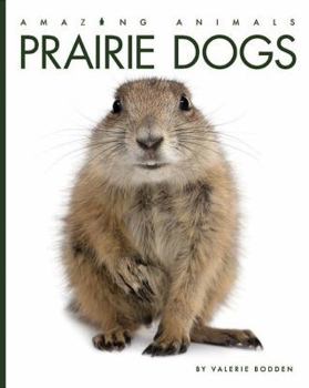 Prairie Dogs - Book  of the Amazing Animals