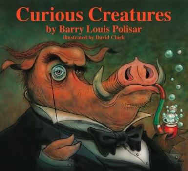 Hardcover Curious Creatures Book