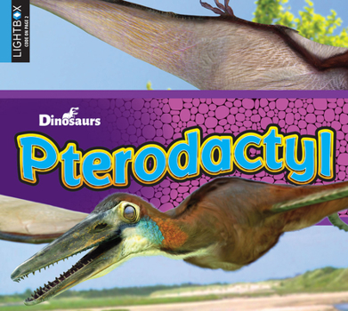 Pterodactyl - Book  of the Discovering Dinosaurs