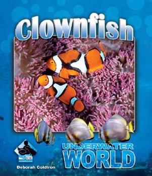 Library Binding Clownfish Book