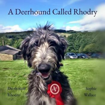 Paperback A Deerhound Called Rhodry Book