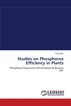 Paperback Studies on Phosphorus Efficiency in Plants Book