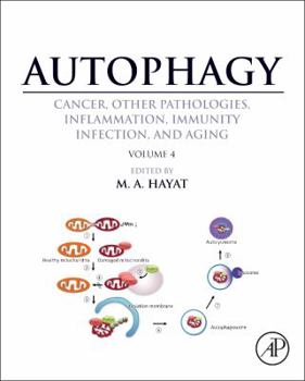 Hardcover Autophagy: Cancer, Other Pathologies, Inflammation, Immunity, Infection, and Aging: Volume 4 - Mitophagy Book