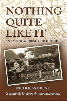 Paperback Nothing Quite Like It: An American-Irish Childhood Book