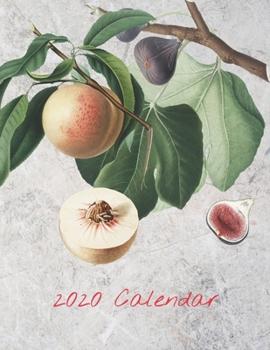 Paperback 2020 Calendar: Monthly 2020 Fruit Illustrated Calendar With Large Images and Calendar Dates, Spaces to Record Income, Expenses, Impor Book