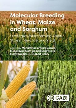 Hardcover Molecular Breeding in Wheat, Maize and Sorghum: Strategies for Improving Abiotic Stress Tolerance and Yield Book