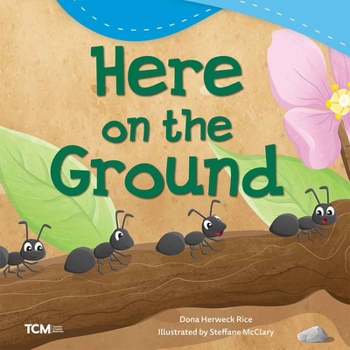 Paperback Here on the Ground Book