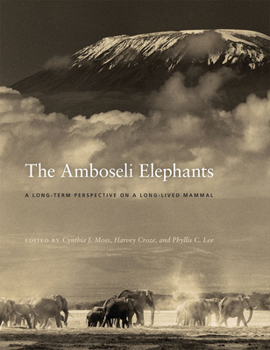 Hardcover The Amboseli Elephants: A Long-Term Perspective on a Long-Lived Mammal Book