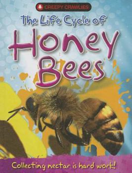 Library Binding The Life Cycle of Honey Bees Book