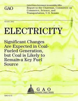 Paperback Electricity: Significant Changes Are Expected in Coal Fueled Generation but Coal is Likely to Remain a Key Fuel Source Book