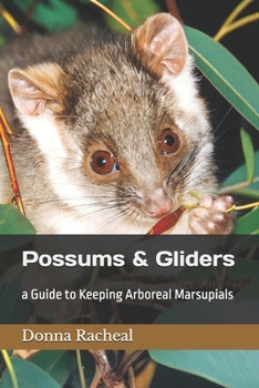 Paperback Possums & Gliders: a Guide to Keeping Arboreal Marsupials Book