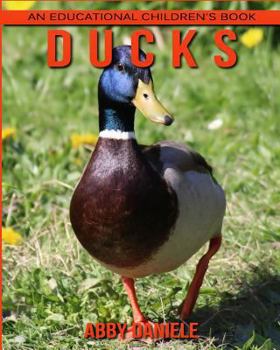 Paperback Ducks! An Educational Children's Book about Ducks with Fun Facts & Photos Book