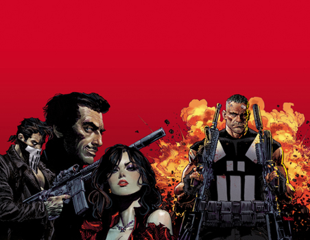 Paperback Marvel Knights: Punisher Book