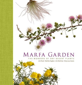 Hardcover Marfa Garden: The Wonders of Dry Desert Plants Book