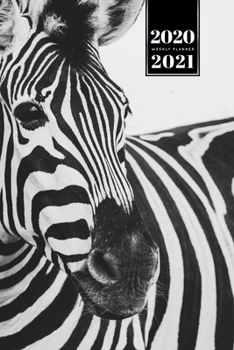 Paperback Zabra Safari Africa Savannah Week Planner Weekly Organizer Calendar 2020 / 2021 - Black and White: Cute Wildlife Animal Pet Bullet Journal Notebook Di Book