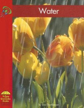 Water (Yellow Umbrella Science) - Book  of the Yellow Umbrella Books: Science ~ Spanish