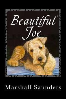 Paperback Beautiful Joe Book