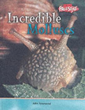 Hardcover Incredible Molluscs Book