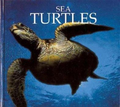 Library Binding Sea Turtles Book