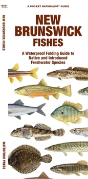 Paperback New Brunswick Fishes Book