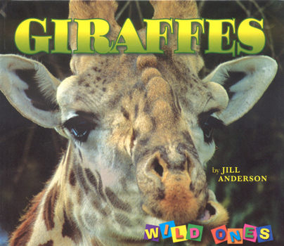 Hardcover Giraffes Book