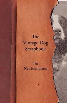 Paperback The Vintage Dog Scrapbook - The Newfoundland Book