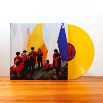 Vinyl Antisocialites Book