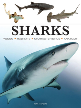 Paperback Sharks & Underwater Predators Book
