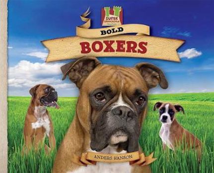 Bold Boxers - Book  of the Dog Daze