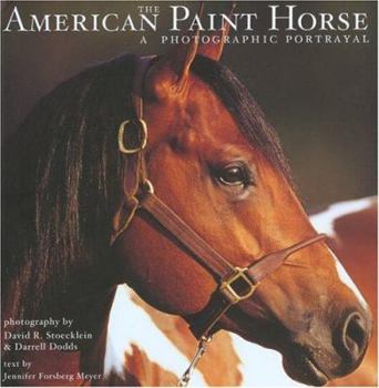 Hardcover The American Paint Horse: A Photographic Portrayal Book