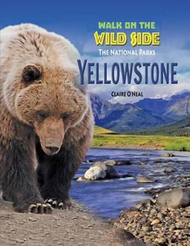 Hardcover Yellowstone Book